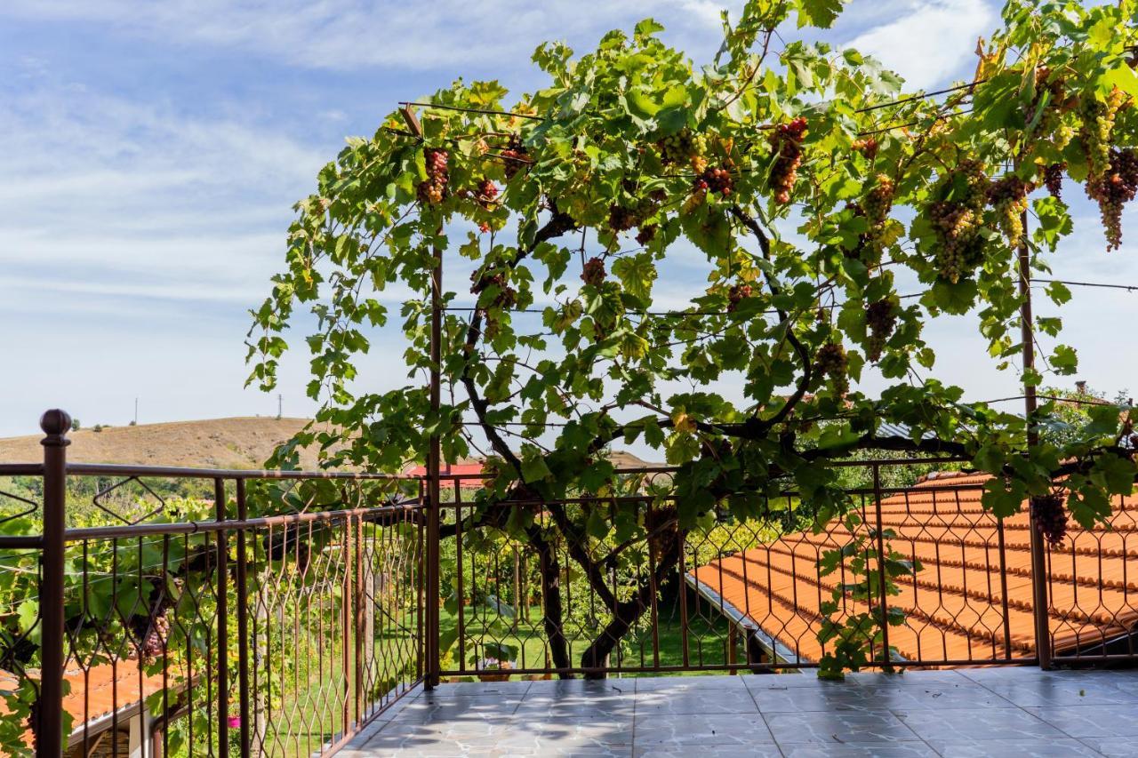 Vila Къща Лиляна Resilovo Exteriér fotografie