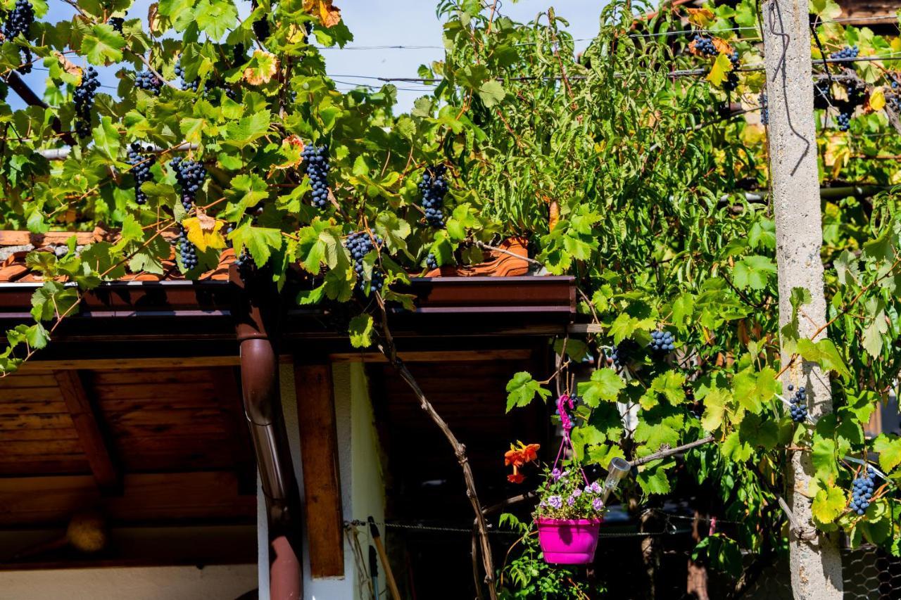 Vila Къща Лиляна Resilovo Exteriér fotografie
